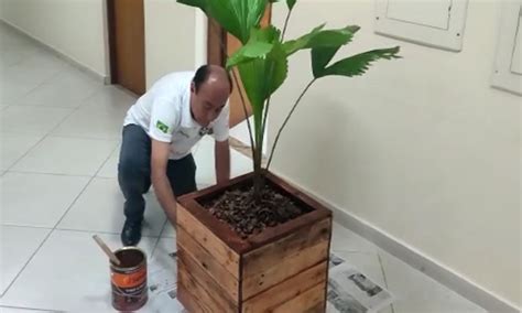 Bocalom P E M O Na Massa E Resolve Passar Verniz Em Vasos De Plantas