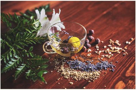 The Beginners Guide To Ayurvedic Herbs Neocell Medium