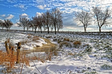 Oude Hoorn Dijk Bomen Gratis Foto Op Pixabay Pixabay