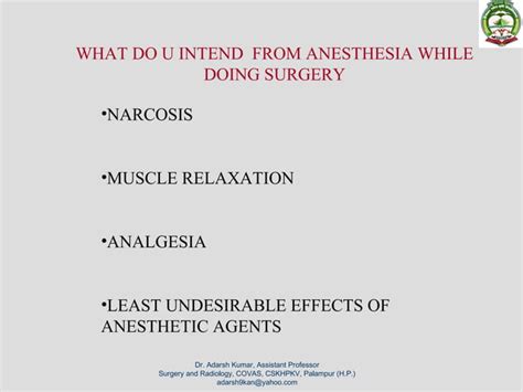 Field Anesthesia Horse Ppt