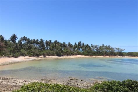 Ilha De Santo Aleixo Pe Como O Passeio De Porto De Galinhas