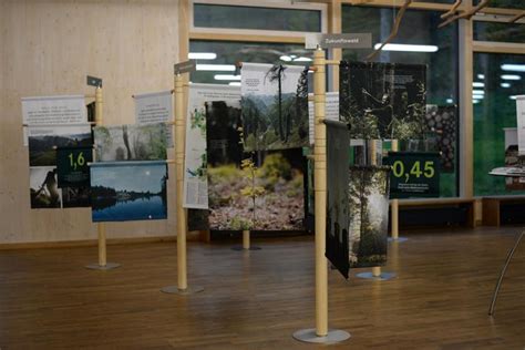 B Ume Der Bayerische Weg Ausstellungser Ffnung Im Steigerwald