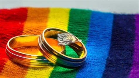 Diputade Impulsa Matrimonio Gay En Congreso De Veracruz Alista Iniciativa