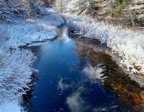 WEATHER PHOTO: A dusting of snow in St. John's, N.L. | SaltWire