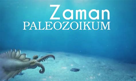 7 Ciri-Ciri Zaman Paleozoikum dan Pembagian