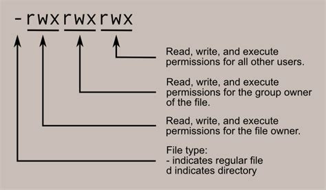 Day 12 Of My ALX Software Engineering Journey Shell Permissions