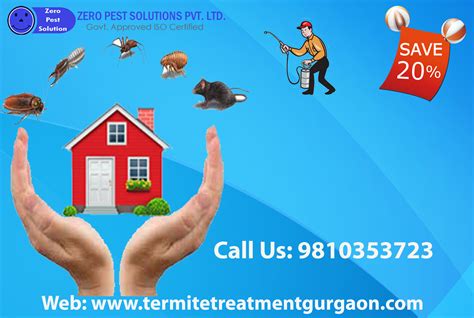 termite treatment services in Gurgaon | Get 100% odorless termite