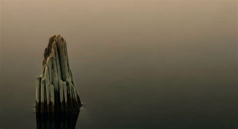 Which Environmental Factor Is Often Considered the Most Important Co