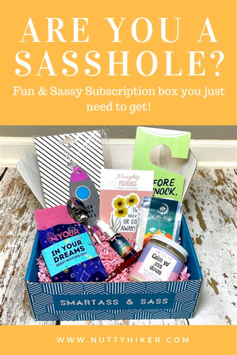 Smartass And Sass A Subscription Box For Sassholes Review