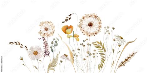 Ilustracja Stock Wildflowers Herbs Boho Border Painted In Watercolor