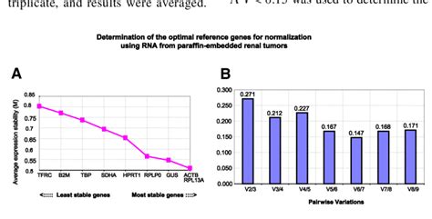 Determination Of The Optimal Reference Genes For Normalization Of Gene