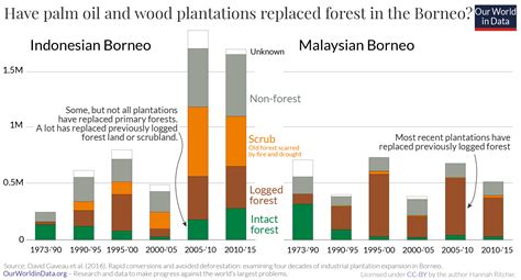 Palm Oil Our World In Data