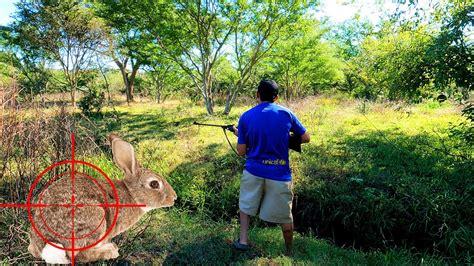 CACERÍA DE CONEJOS USANDO RIFLE DE AIRE Y HONDILLAS YouTube