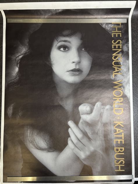 【やや傷や汚れあり】『ケイト・ブッシュ Kate Bush The Sensual World ポスター』の落札情報詳細 ヤフオク落札価格