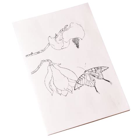 Lijn Tekening Vlinder Tracing Xuan Papier Vlinder Vicedeal