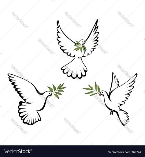 Three Dove With Olive Branched Download A Free Preview Or High Quality