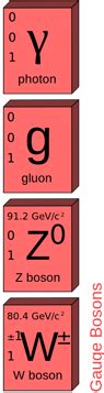 The Standard Model – 7.3 Part 1 – Adevoscience