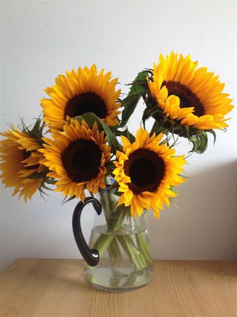 Pin on 𝑱𝒂𝒓𝒓𝒂𝒔 𝒚 𝑪𝒂𝒏𝒂𝒔𝒕𝒂𝒔 𝒄𝒐𝒏 𝒈𝒊𝒓𝒂𝒔 in 2024 Sunflower Flowers Corn maze