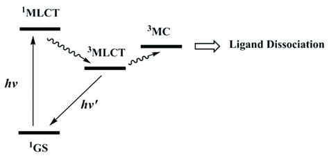 Jablonski Diagram Of Ru II Complexes With Photolabile Ligands