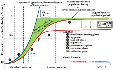 Exponential Vs Logistic Population Growth Model Download Scientific Diagram