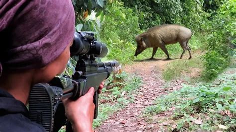 Hari Berburu Babi Hutan Burung Punai Tupai Langsung Di Masak Youtube