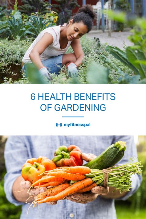 6 Health Benefits Of Gardening Benefits Of Gardening Mental Health