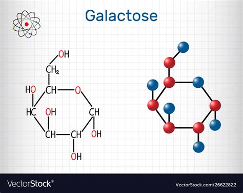 Galactose Alpha D Galactopyranose Milk Sugar Vector Image