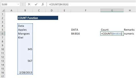 How To Use The Count Formula In Excel Count Function With Examples Earn And Excel