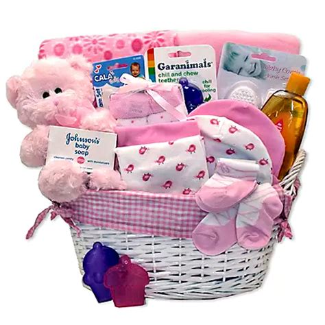 Simply Adorable New Baby Basics Gift Basket Select Pink Or Blue