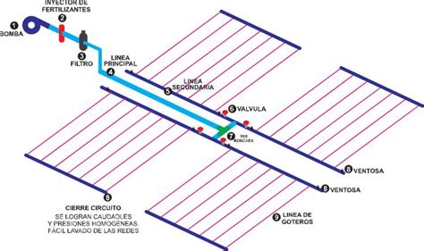 Sistema Riego Por Goteo Invernadero O Campo Abierto Sistema De Riego Por Goteo Riego Por