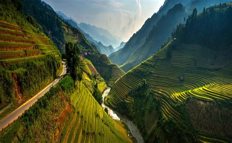 Landscape Nature Rice Paddy Terraces Mountain Sunset Field Trees Mist