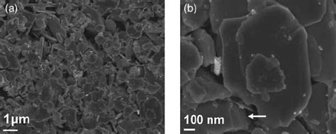 A Sem Image Of The Obtained Mos Nanosheets B Higher Magnificent