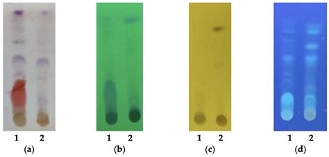 Jof Free Full Text Antimicrobial And Antioxidant Activities Of