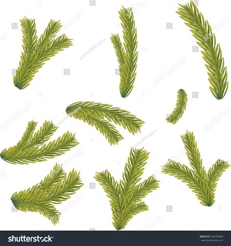 Set Fir Branches Christmas Tree Pine Stock Vector Royalty Free