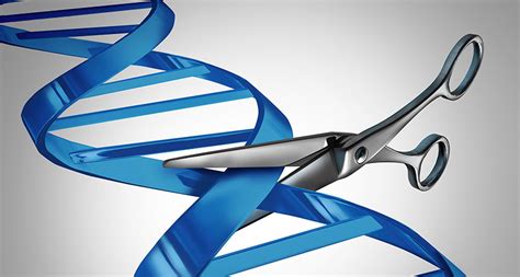 Human Gene Editing Research Gets Green Light