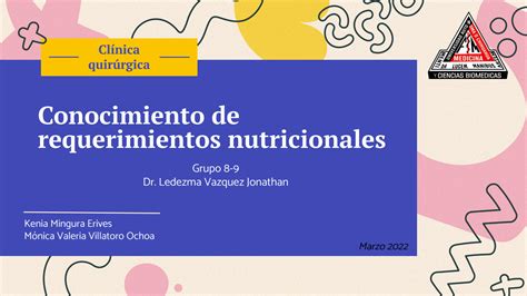 SOLUTION UACH PRESENTACIÓN REQUERIMIENTOS NUTRICIONALES DEL PACIENTE