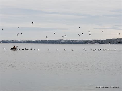 Layout boat for Maine sea duck hunting - Canoe the Wild