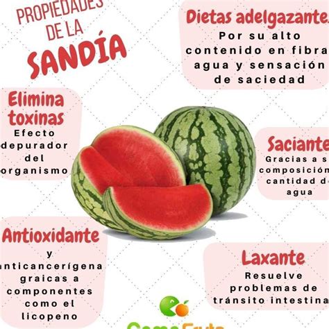 Beneficios y curiosidades de la sandía Citrullus lanatus Descubre