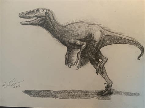 Drawing Of Dakotaraptor Paleontology