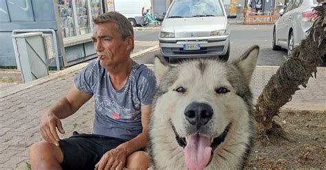 Senzatetto non si fa curare per non abbandonare il cane Ionel è morto