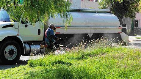 INTENSIFICA MUNICIPIO TRABAJOS DE PODA DESMALEZADO Y RETIRO DE RAMAS