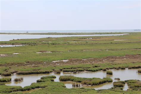 Take A Trip To The Aransas National Wildlife Refuge Best Texas Hiking And Camping Resource