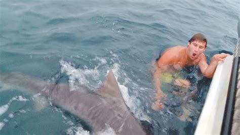 Harrowing Near Miss Attack By Tiger Shark Teaches Twins A Lesson They