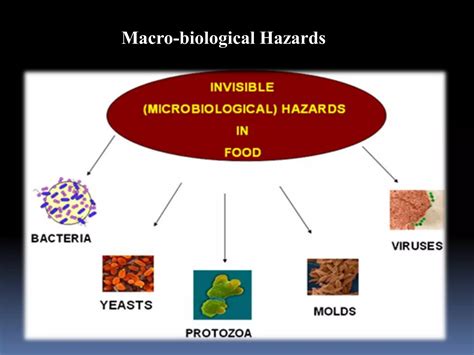 Food Safety Management Systems Fsms Ppt