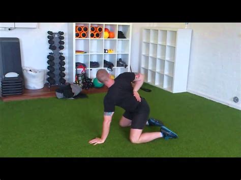 Quadruped T Spine Internal Rotation Youtube