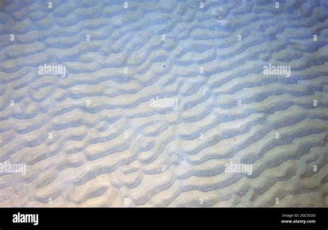 Underwater Sand Texture