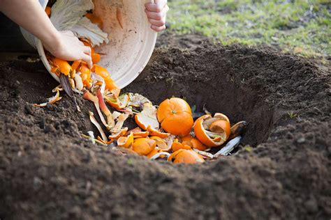 Le 8 Migliori Bucce Di Frutta Da Usare Come Fertilizzante Per Il Tuo