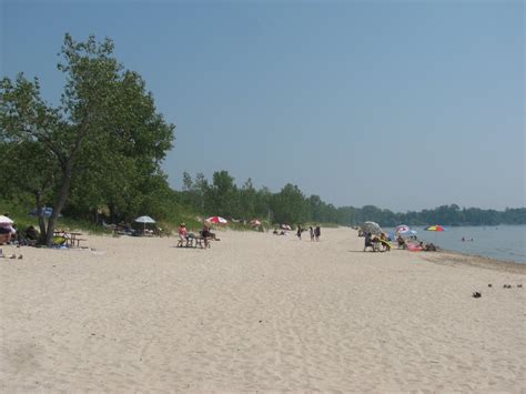 Gravel Beach: Sandbanks