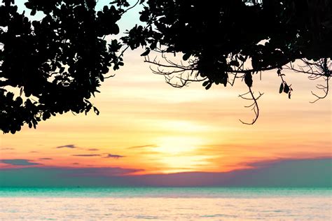 Beautiful Sunset At Tropical Paradise Beach View From Under The Tree At Seaside In The Evening