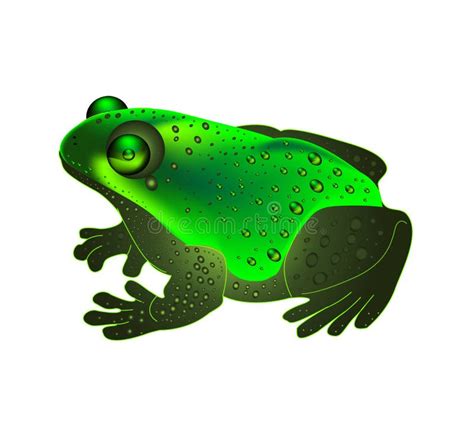 Green And Black Poison Dart Frog Vector Stock Vector Illustration